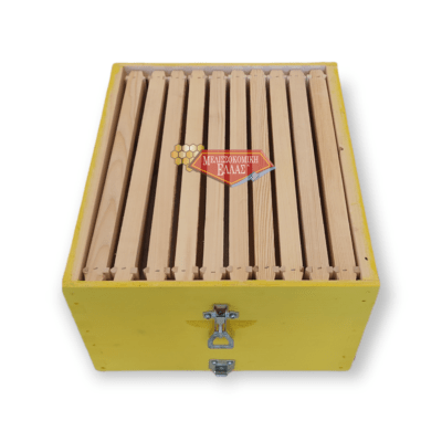 ΠΑΤΩΜΑ ΜΕ ΤΕΛΑΡΑ, ΧΡΩΜΑ ΚΑΙ ΣΥΝΔΕΤΗΡΕΣ - Image 3